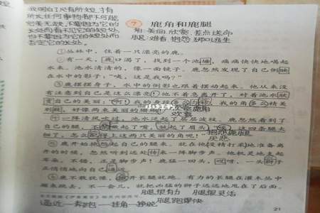 三年级语文15课中蓑衣是什么意思