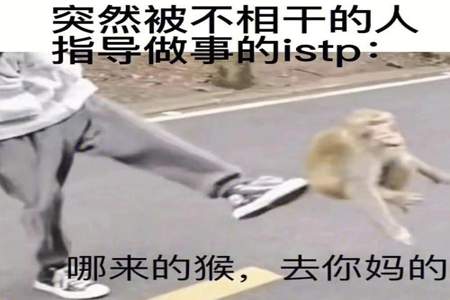 istp动物人格选什么