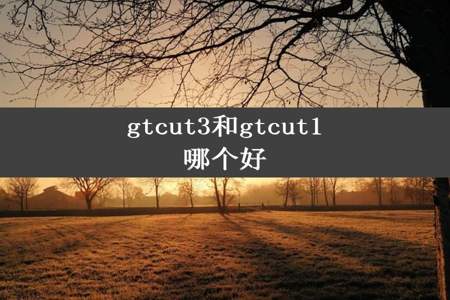 gtcut3和gtcut1哪个好