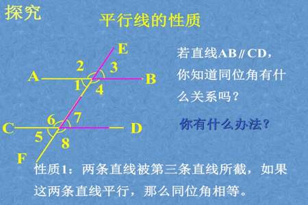 平行线的性质和特点是什么