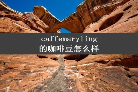 caffemaryling的咖啡豆怎么样