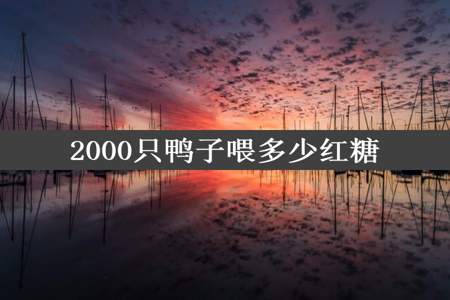 2000只鸭子喂多少红糖