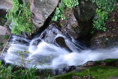 那花那水那山的意思