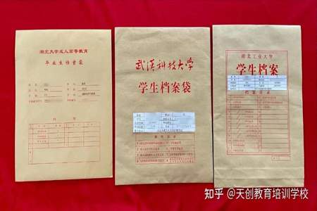 大学处分进了档案袋还能拿出来吗