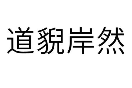 一本正经还有什么成语