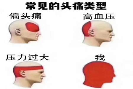 头发还得是你剪搞笑段子