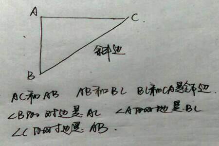 梯形对边邻边都不相等是对还是错