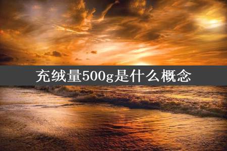 充绒量500g是什么概念