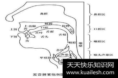 huang是翘舌音吗