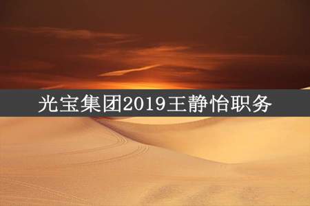 光宝集团2019王静怡职务