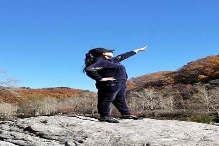 高高的山岗穿云霄什么意思