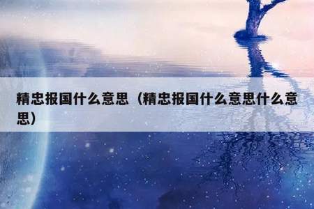 精忠报国什么意思