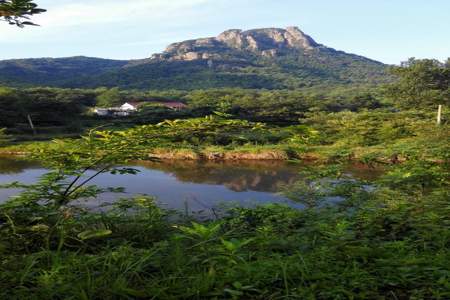 小和山，有什么好玩的地方