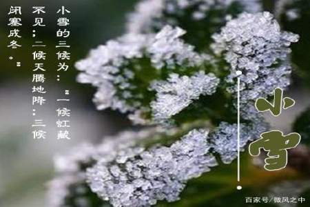 小雪节气冷代表冬天特别冷吗