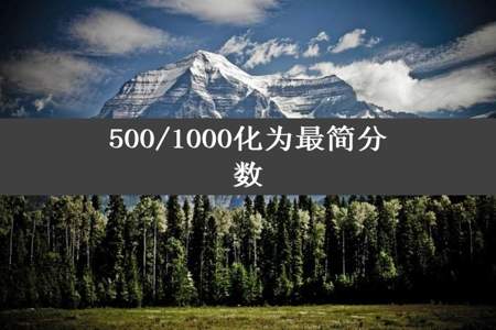 500/1000化为最简分数