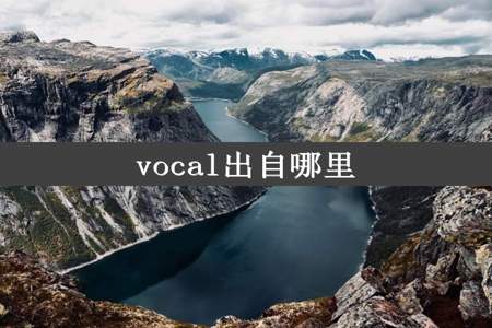 vocal出自哪里