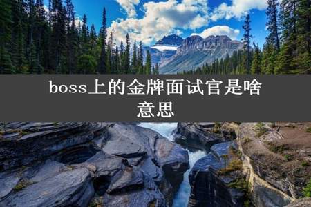 boss上的金牌面试官是啥意思