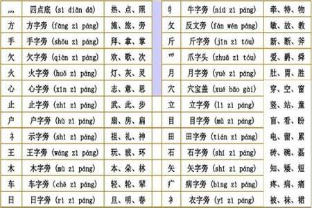 本的部首是什么意思