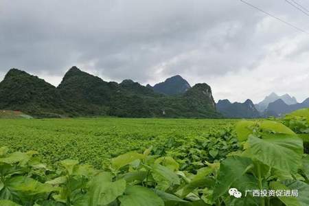 沧海桑田说明了哪种自然规律