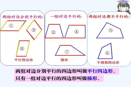 长方形和正方形都是四边形对吗