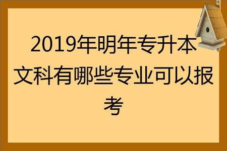 大专文科生可以考什么证