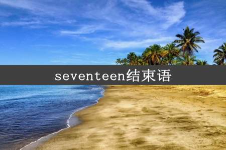 seventeen结束语