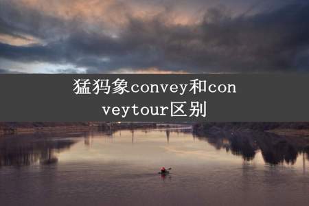 猛犸象convey和conveytour区别