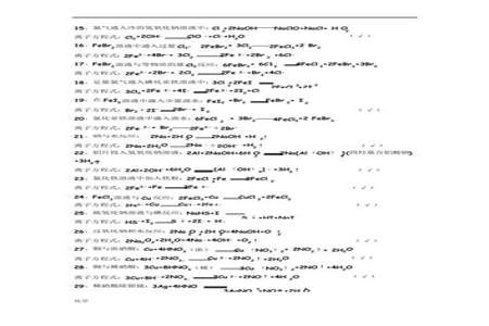 离子方程式和化学方程式区别