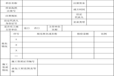 投标人基本情况表中组织结构如何填写