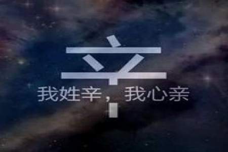 我姓董后面接什么搞笑句子