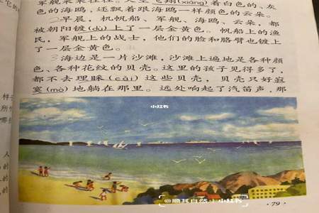 海滨小城是从哪两个方面写的