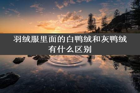 羽绒服里面的白鸭绒和灰鸭绒有什么区别