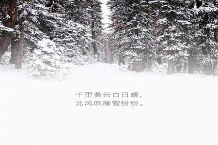 好大的雪诗句