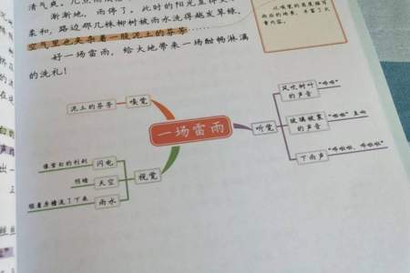 用五感法写喜欢的小动物