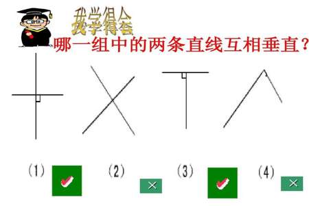 在一平面里内，任意一条直线的垂线有几条