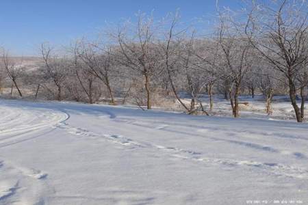 东北的雪怎么形容