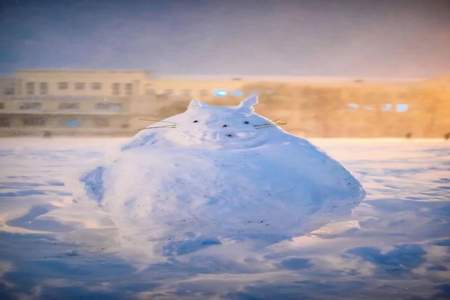 女儿学校下雪了怎么发朋友圈