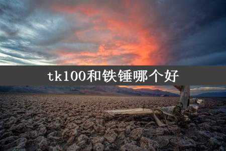 tk100和铁锤哪个好