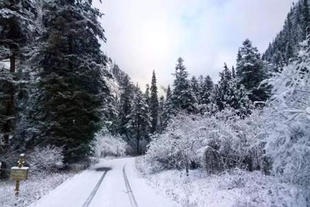 白茫茫的大雪怎样落到湖面上