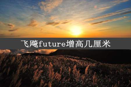 飞飚future增高几厘米