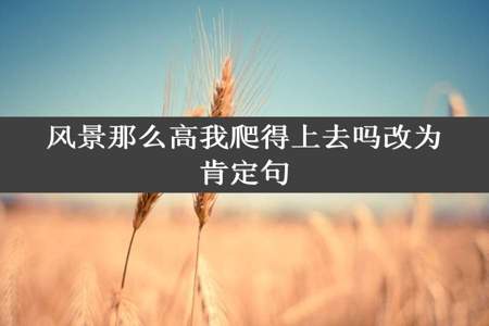 风景那么高我爬得上去吗改为肯定句