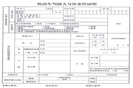 驾照体检项