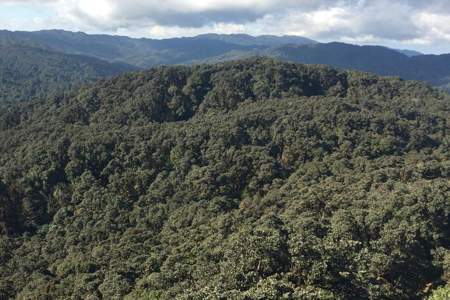 哀牢山和无量山有什么区别