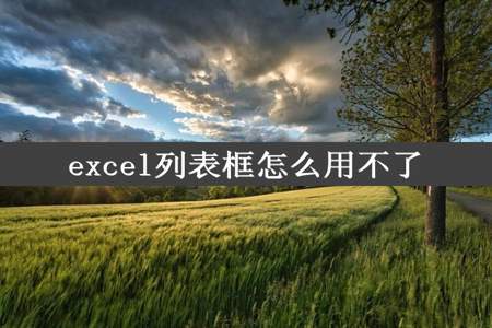 excel列表框怎么用不了