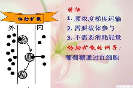 自由扩散和协助扩散的例子