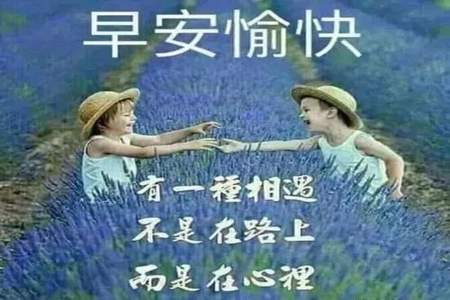 异性发早上好怎么回复