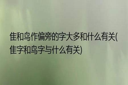 鸟加偏旁是什么字