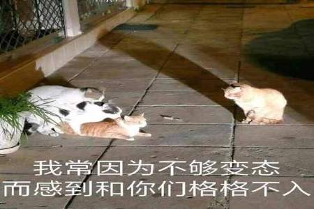 女生说虔诚是什么意思