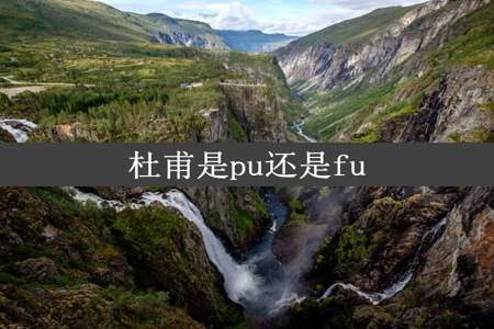 杜甫是pu还是fu