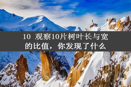 10 观察10片树叶长与宽的比值，你发现了什么